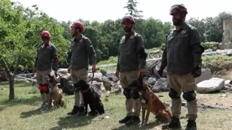 Arama Kurtarma Köpekleri Şampiyonası: İstanbul'da Zirve Japonya'nın!