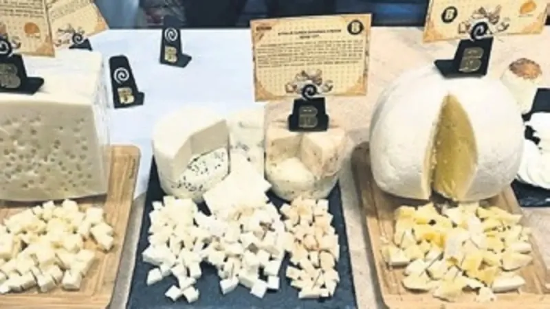 Butik Mandıra Sırrı! 500 Kg Süt İşleyip Rekor Kırıyor