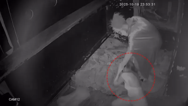 Taksim Korku Evinde Şok! Saçından Sürükleyip Elektroşok Verdiler