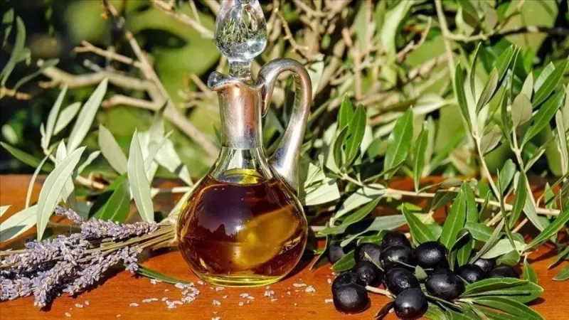 Zeytinin üretim hedefi 2 milyon 450 bin ton
